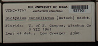 Image Associated With the Occurence